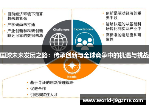 国球未来发展之路：传承创新与全球竞争中的机遇与挑战