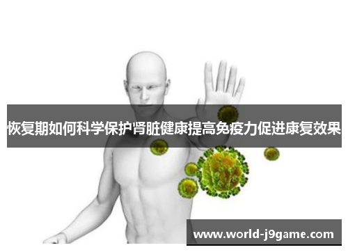 恢复期如何科学保护肾脏健康提高免疫力促进康复效果