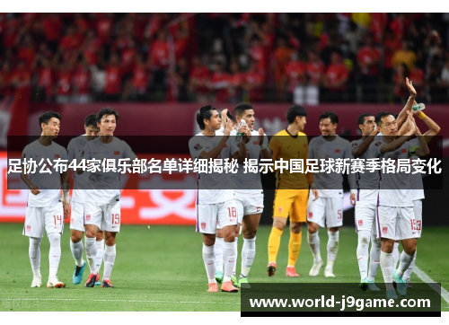 足协公布44家俱乐部名单详细揭秘 揭示中国足球新赛季格局变化