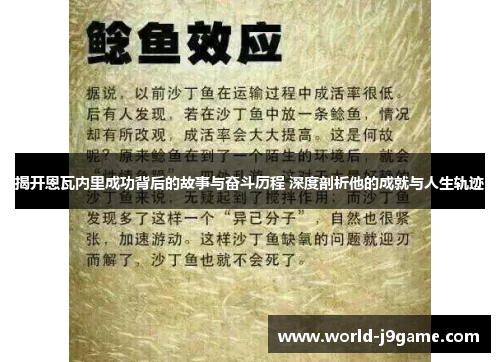 揭开恩瓦内里成功背后的故事与奋斗历程 深度剖析他的成就与人生轨迹